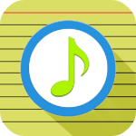 Audio Note PRO