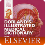 Dorland's Illustrated Medical Dictionary