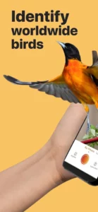 Picture Bird apk